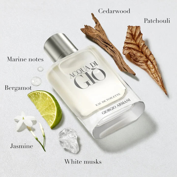 Acqua di Giò Eau de Toilette 100ml – Giorgio Armani