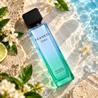 Assaf Frankel Chill Eau De Parfum 200ml for best price, smooth scent with a lasting fragrance - Perfumesouq Qatar