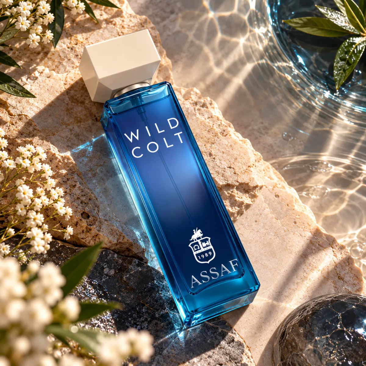 Assaf Wild Colt Eau De Parfum 200ml, distinctive scent with a lasting fragrance - Perfumesouq Qatar
