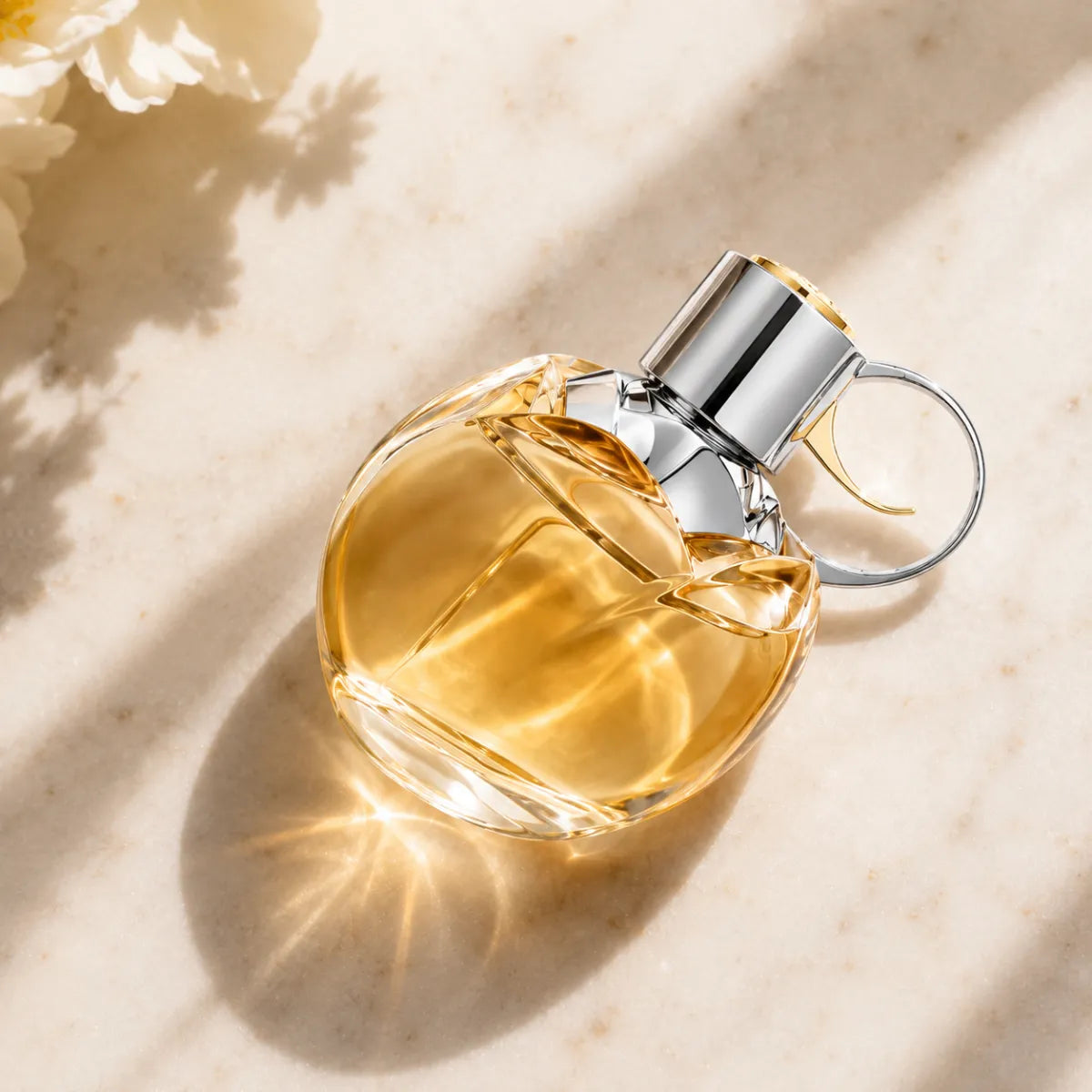 Authentic Azzaro Wanted Girl Eau De Parfum 80ml For Women for best price with fast delivery - Perfumesouq Qatar