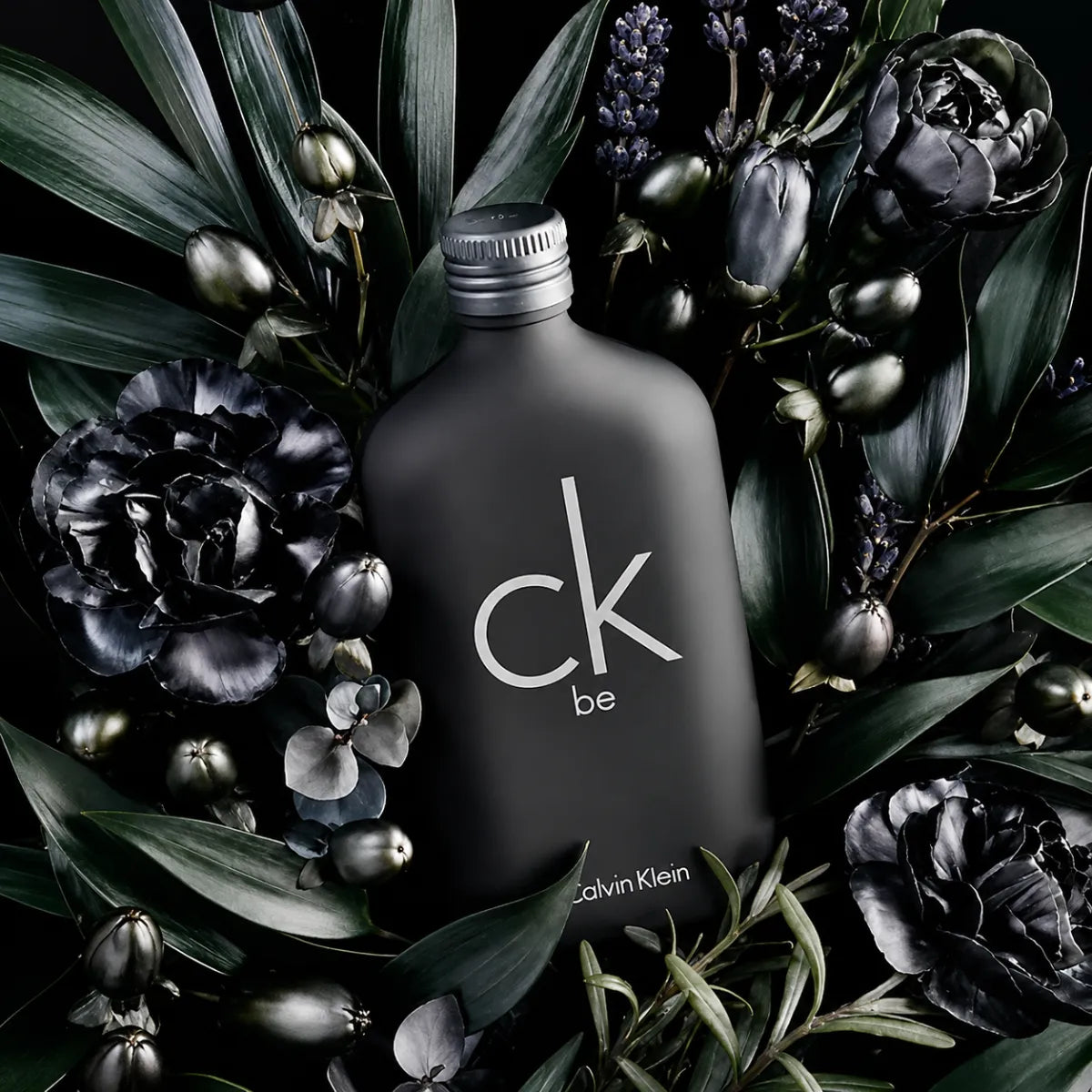 Calvin Klein Be Eau De Toilette 200ml for best price in Qatar, fresh woody fragrance with long-lasting scent - perfumesouq Qatar