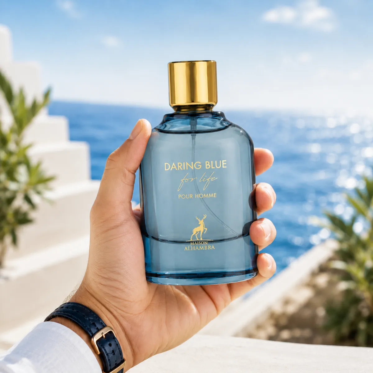 Maison Alhambra Daring Blue For Life Eau De Parfum 100ml for best price in Qatar, fresh woody fragrance with long-lasting scent - perfumesouq Qatar