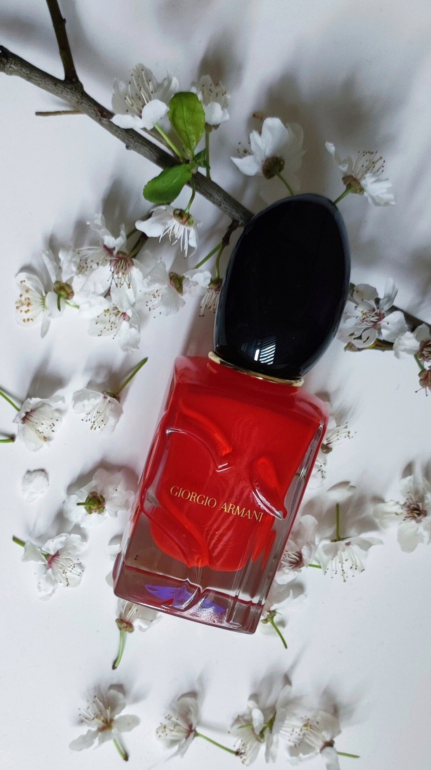 SÌ PASSIONE 100 ml Eau de Parfum