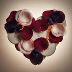 Heart Notes