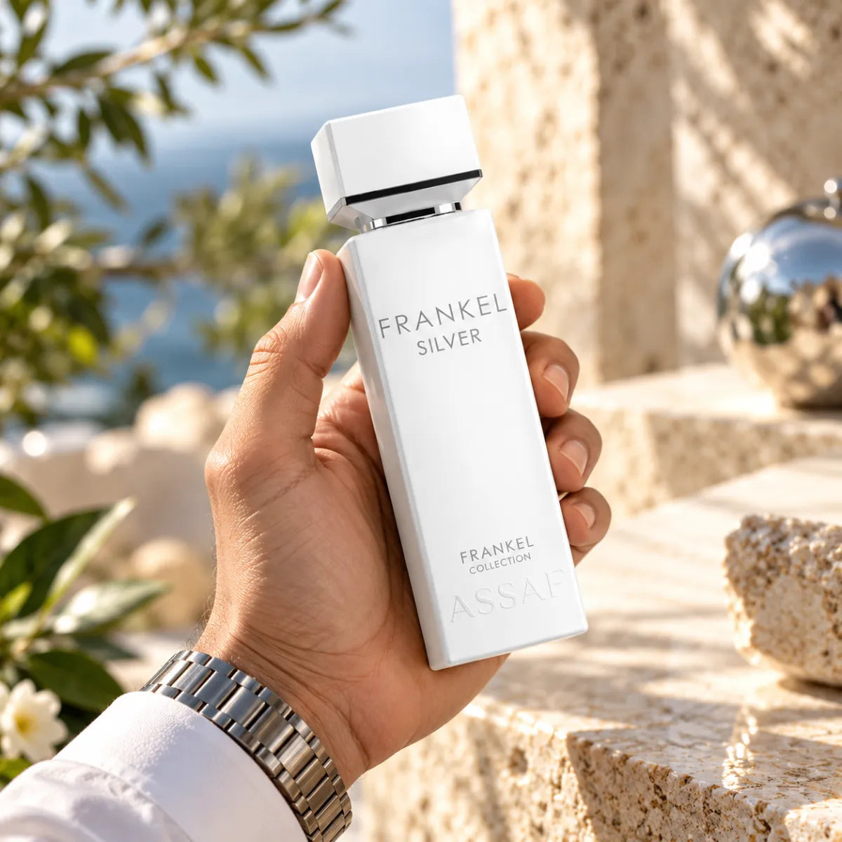 Premium Assaf Frankel Silver EDP 200ml available at best price, modern and refined fragrance - Perfumesouq Qatar