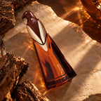 French Avenue Le Falcon Dubai Extrait De Parfum 100ml for best price, elegant leather and vanilla scent - Perfumesouq Qatar