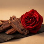Heart Notes