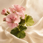 Heart Notes