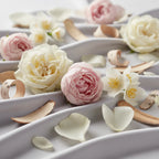 Heart Notes