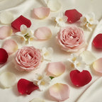 Heart Notes