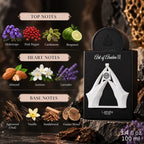 Authentic Lattafa Art Of Arabia II Eau De Parfum 100ml for best price with fast delivery - Perfumesouq Qatar