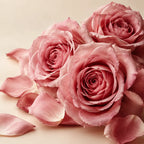Heart Notes