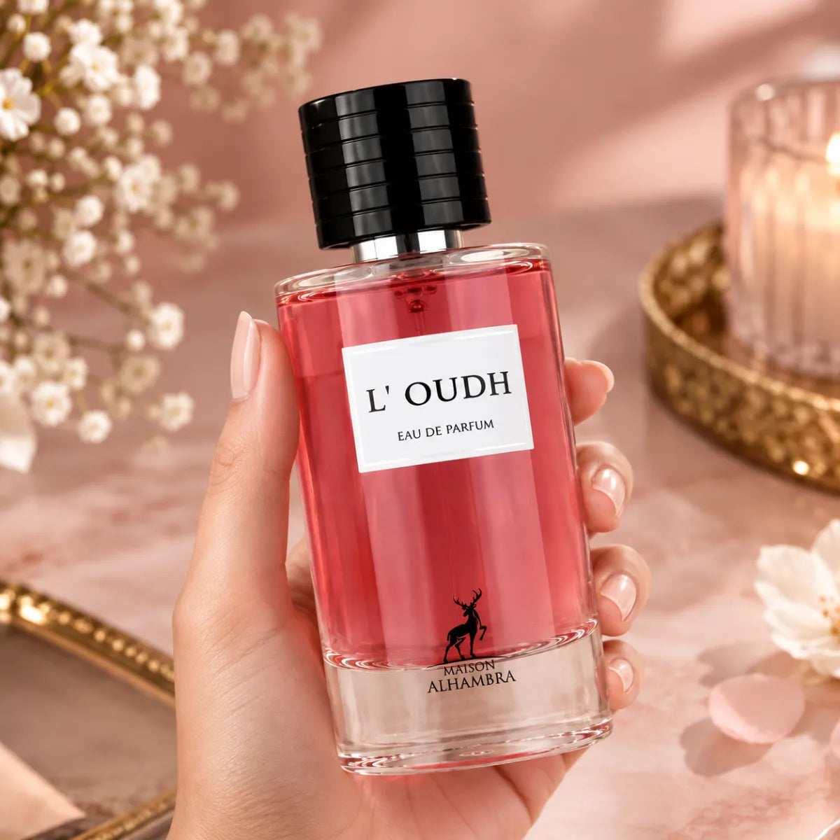 Premium Maison Alhambra L'oudh EDP 100ml available in Qatar at best price, sophisticated fragrance - Perfumesouq Qatar