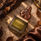 Maison Asrar Muharib Eau De Parfum 100ml for best price in Qatar, elegant scent with lasting fragrance - Perfumesouq Qatar