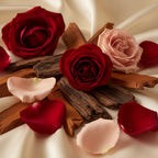 Heart Notes